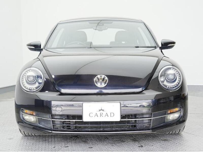 THE BEETLE