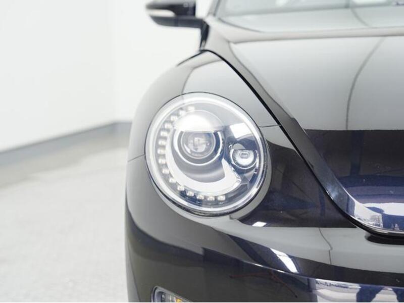 THE BEETLE