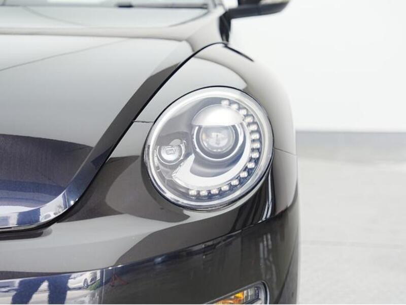 THE BEETLE