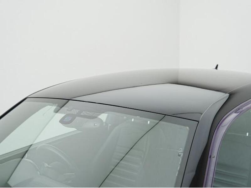 THE BEETLE