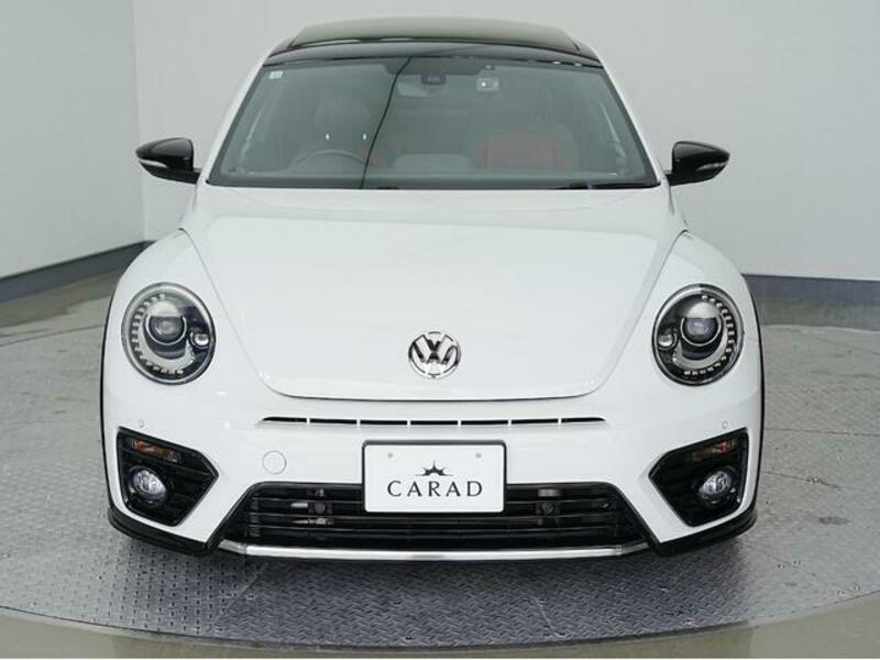 THE BEETLE
