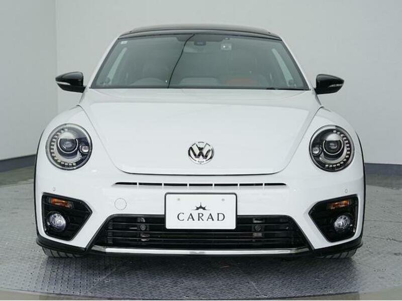 THE BEETLE