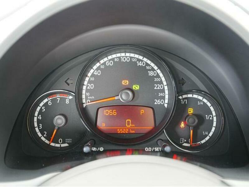 THE BEETLE