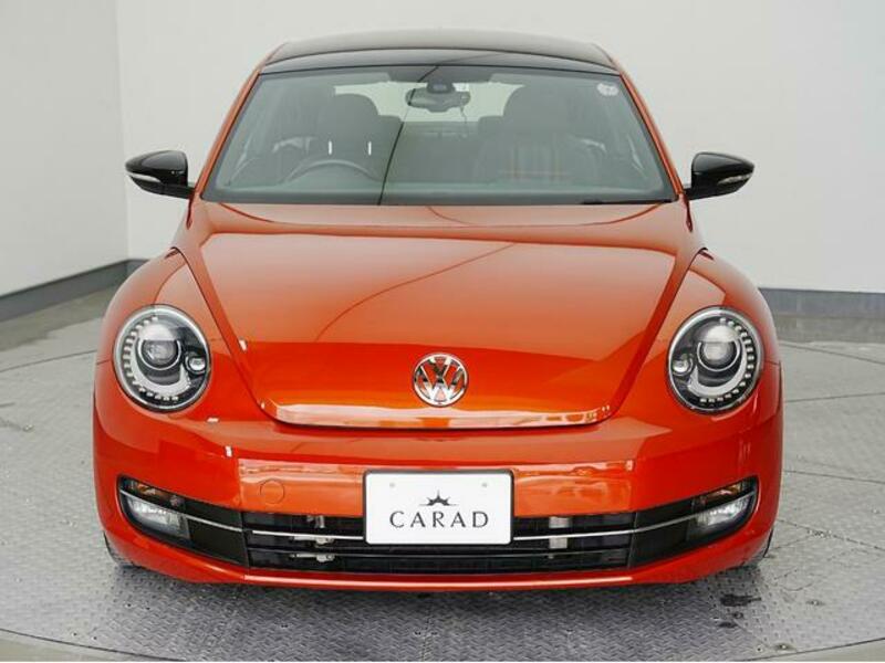 THE BEETLE