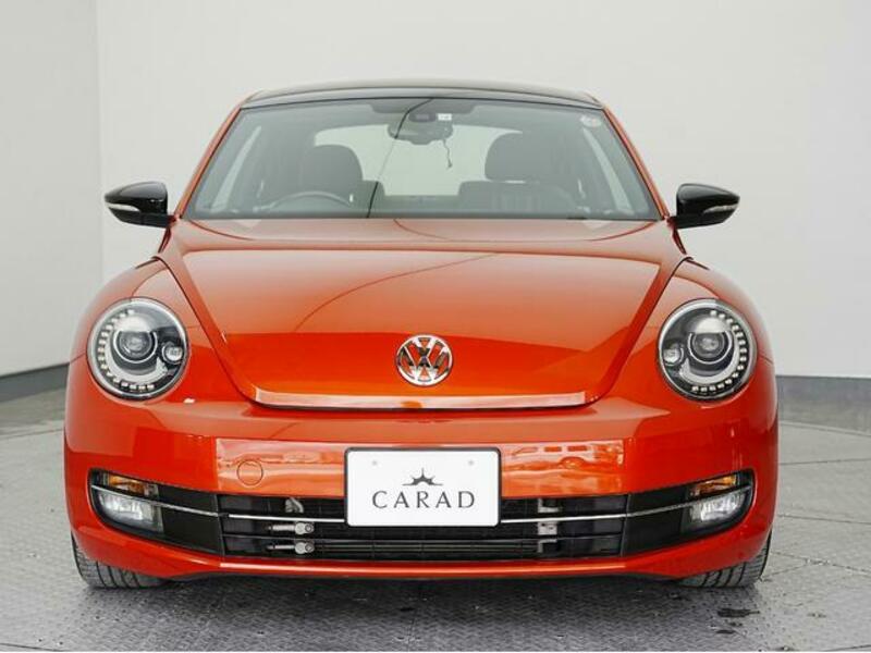 THE BEETLE