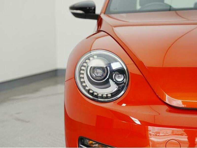 THE BEETLE