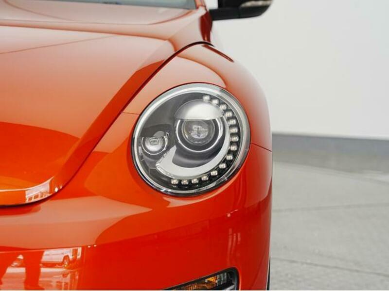 THE BEETLE
