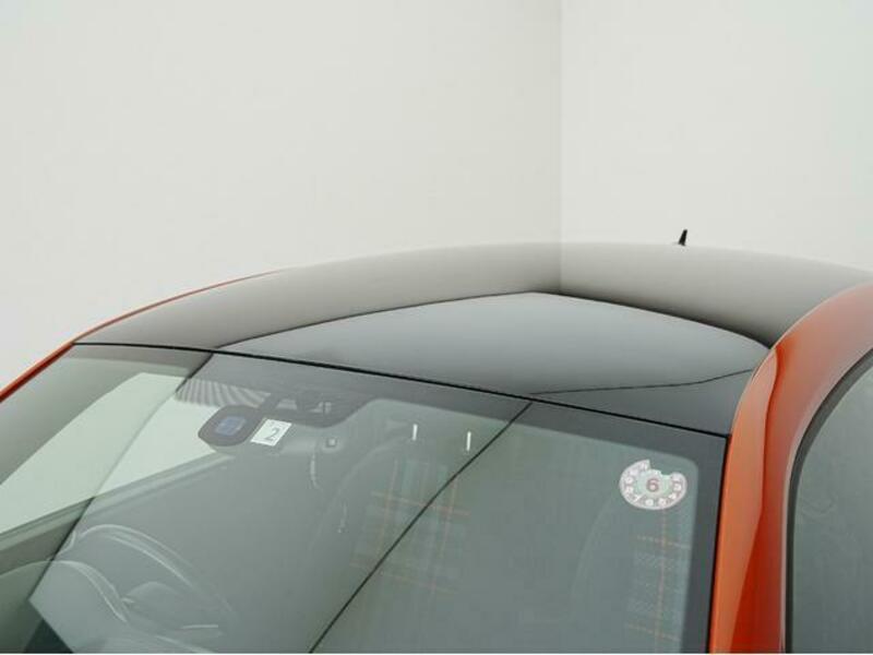 THE BEETLE