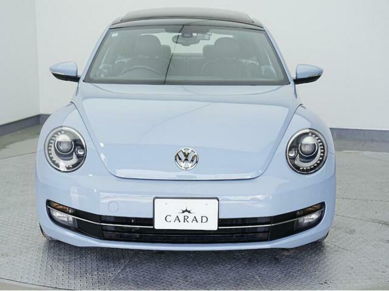 THE BEETLE