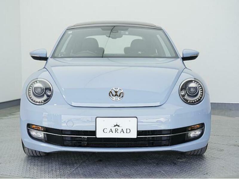 THE BEETLE
