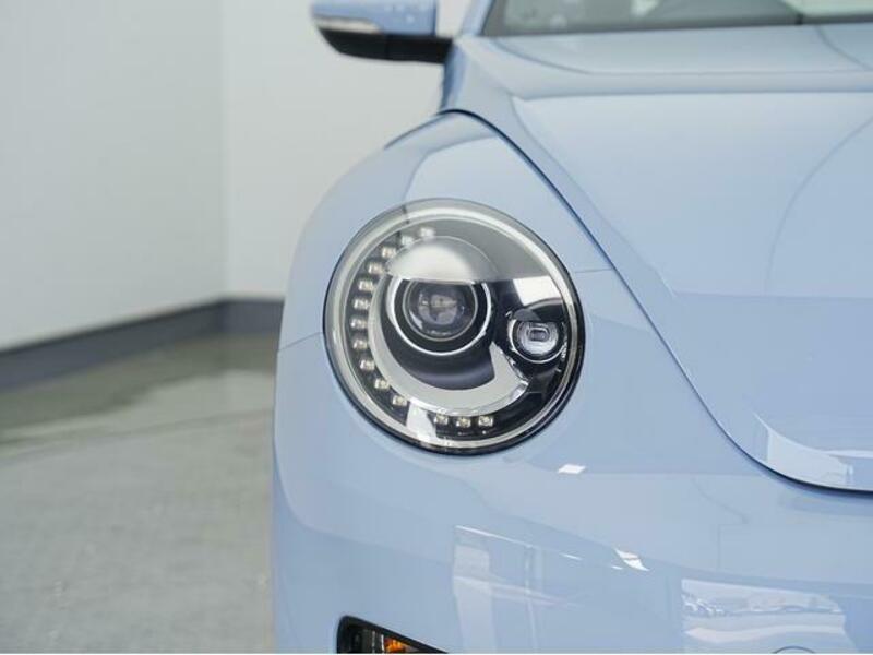 THE BEETLE