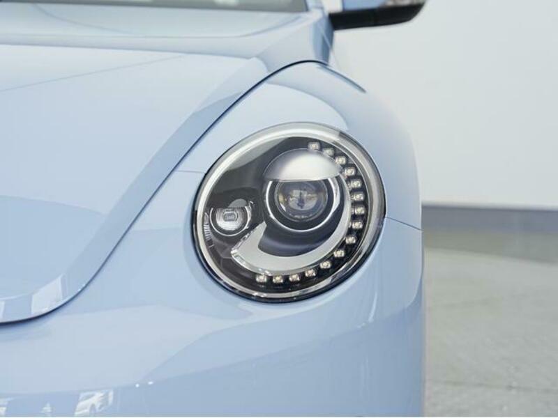 THE BEETLE