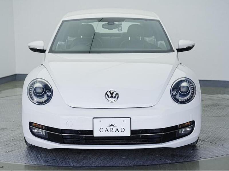THE BEETLE