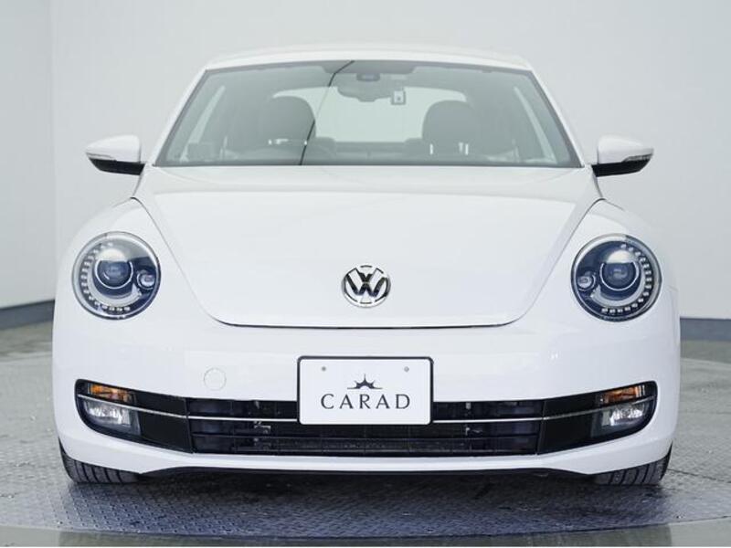 THE BEETLE
