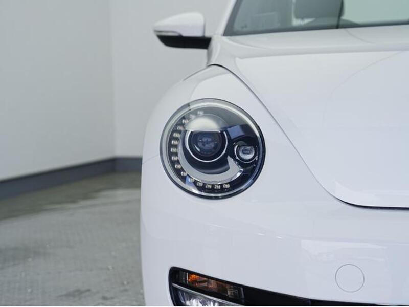 THE BEETLE