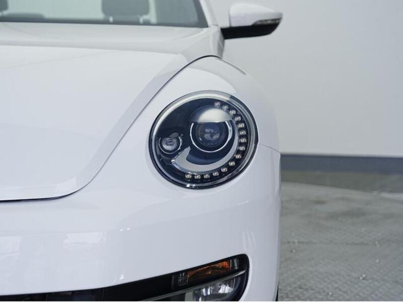 THE BEETLE