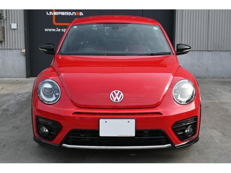 THE BEETLE