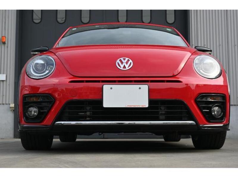 THE BEETLE