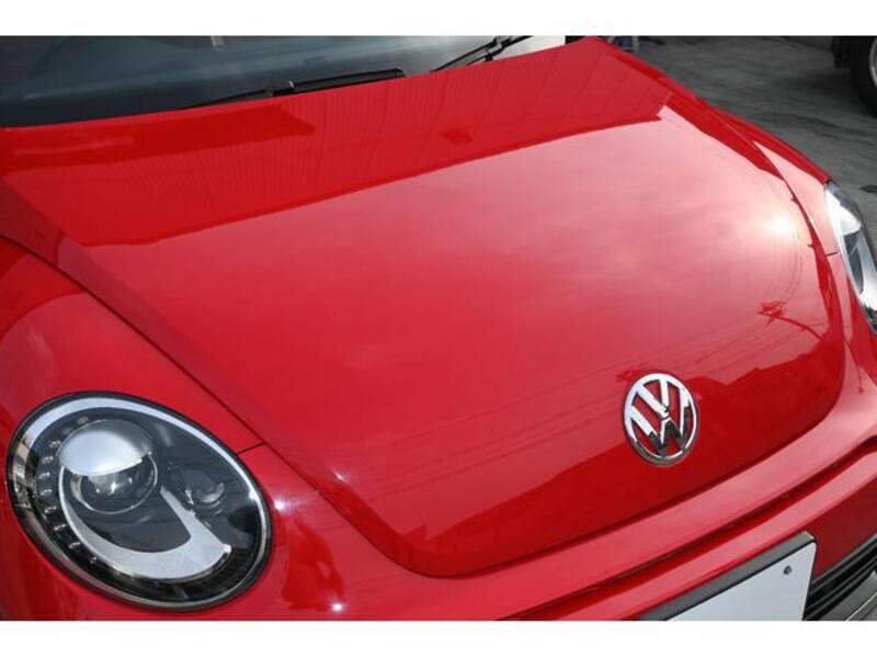 THE BEETLE