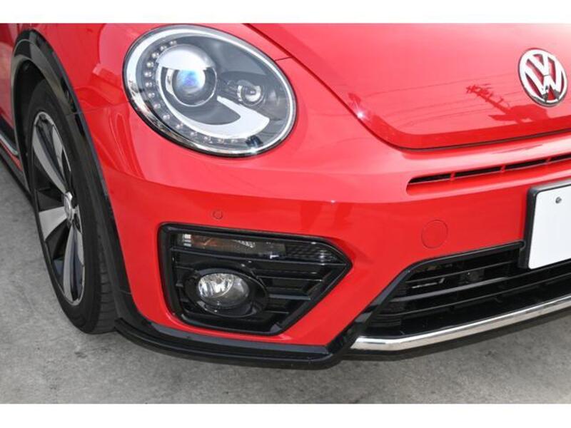 THE BEETLE