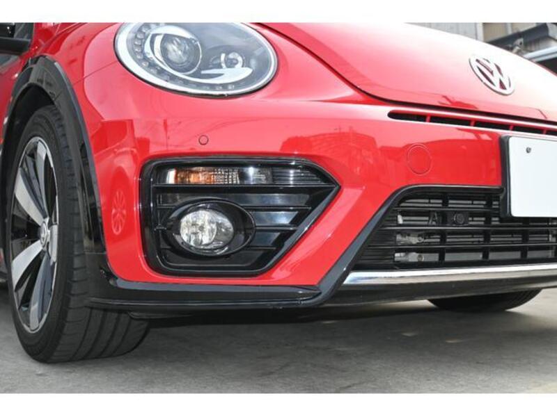 THE BEETLE