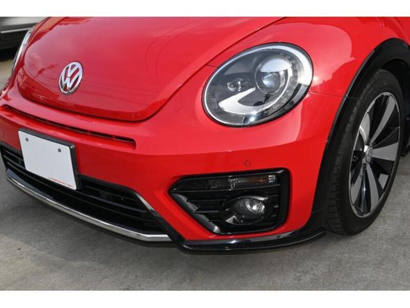 THE BEETLE