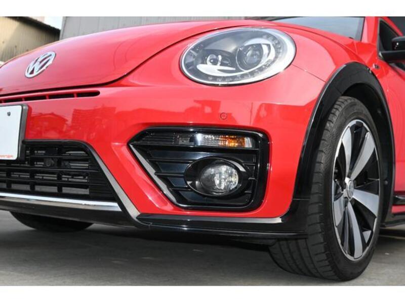 THE BEETLE