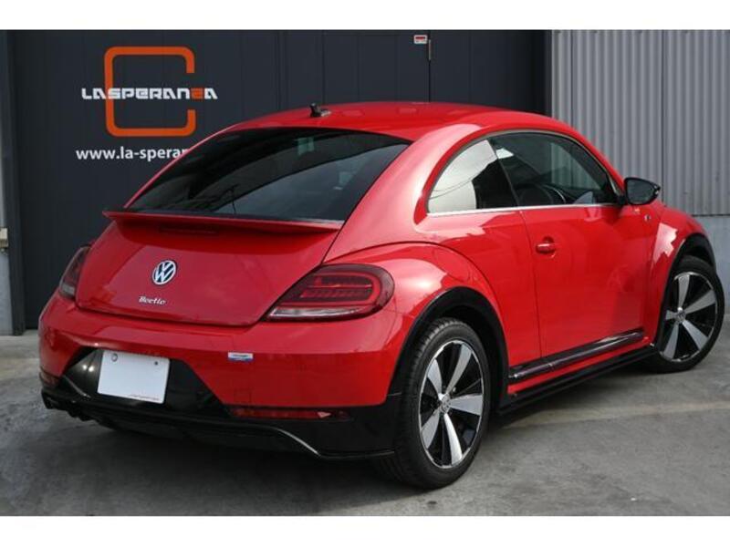 THE BEETLE