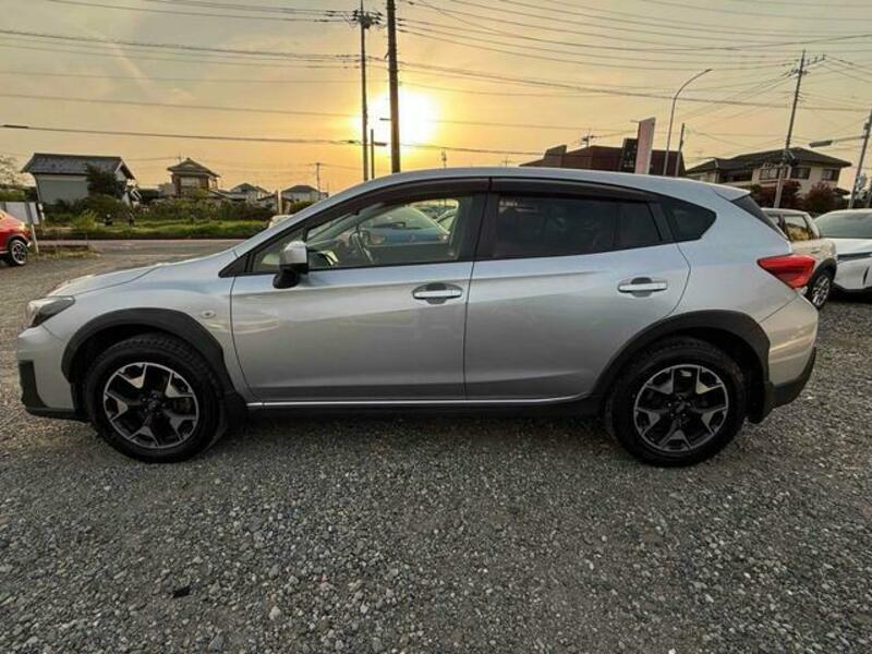 XV