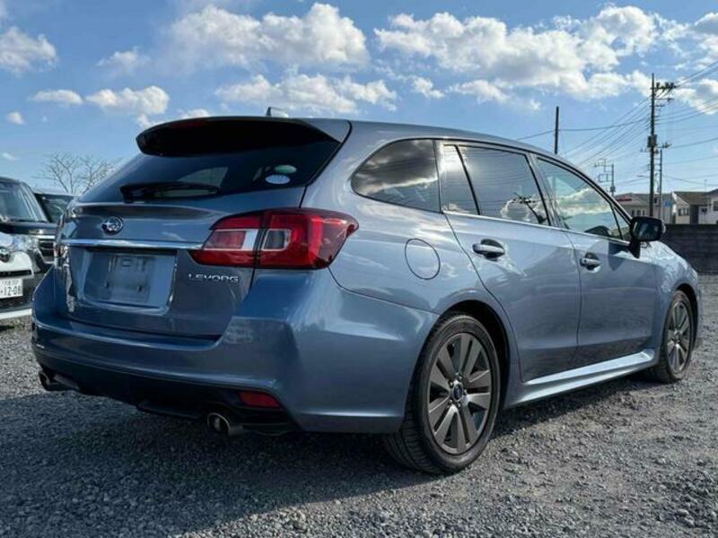 LEVORG