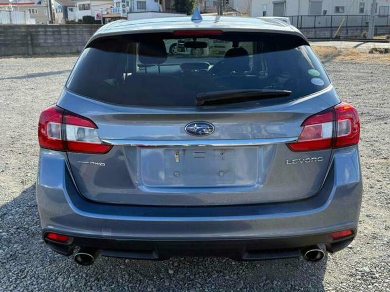 LEVORG