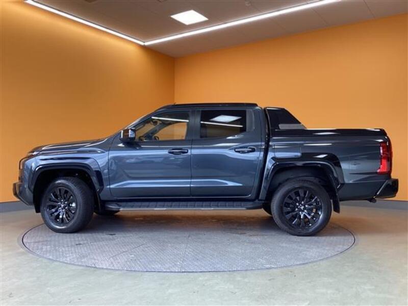 TRITON