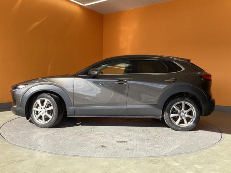CX-30