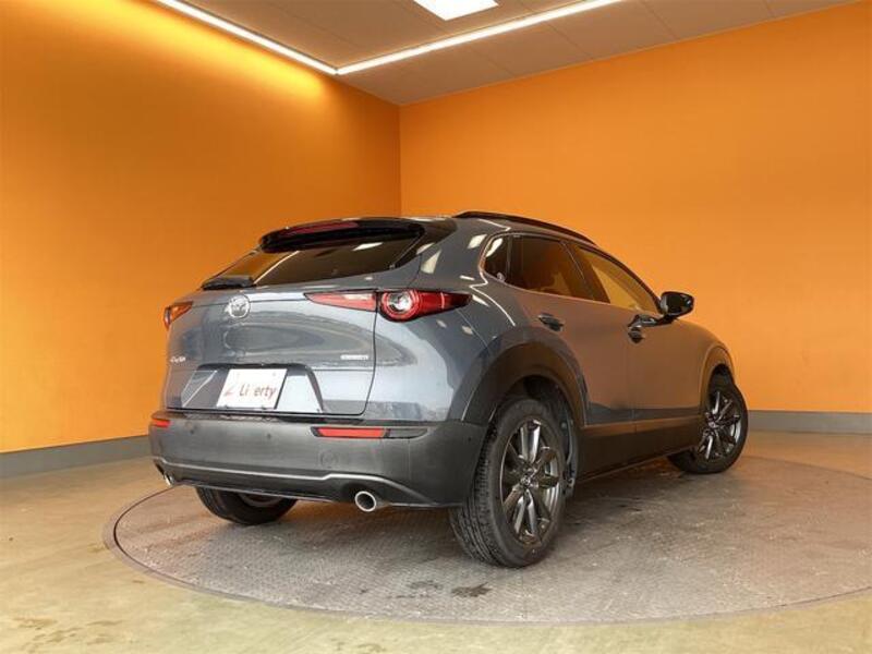 CX-30