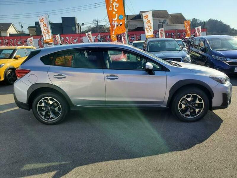 XV