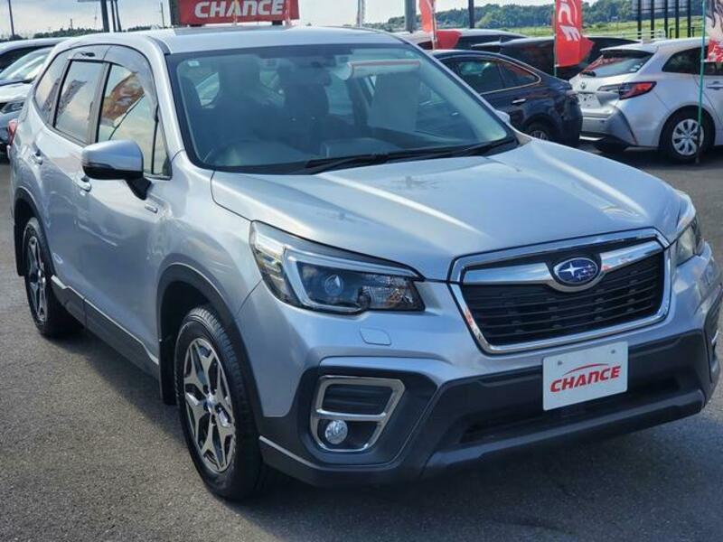 FORESTER