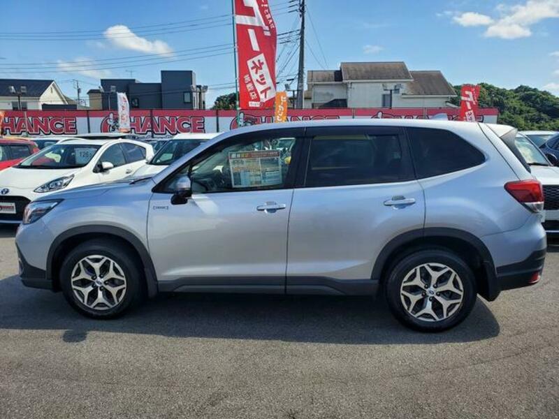 FORESTER