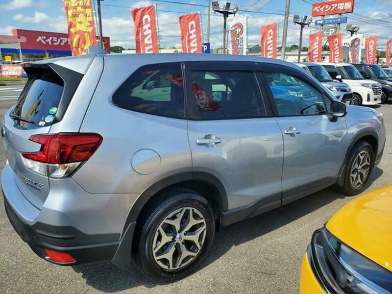 FORESTER