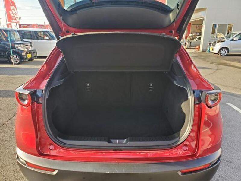 CX-30