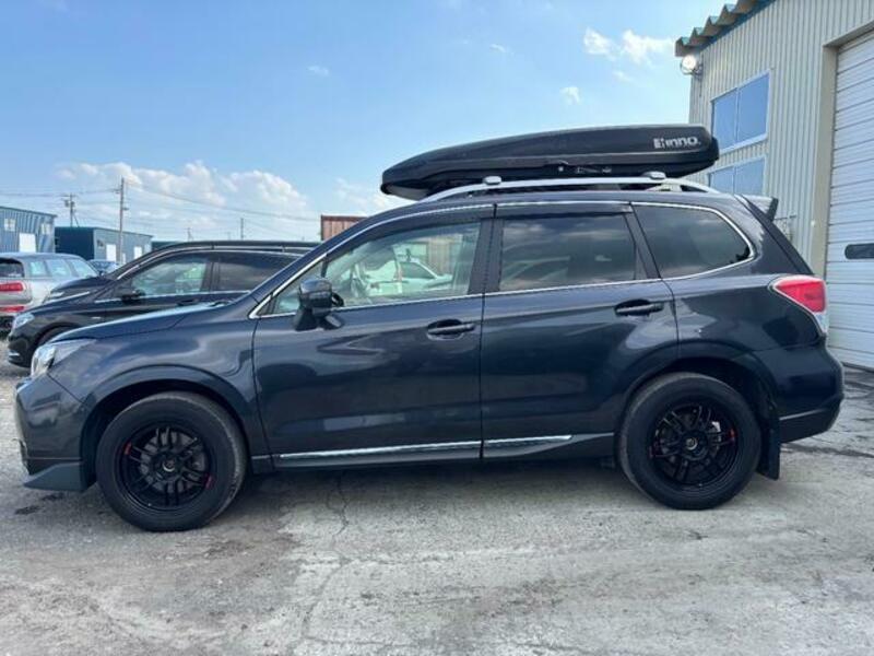 FORESTER