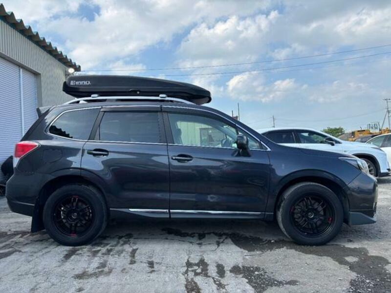 FORESTER
