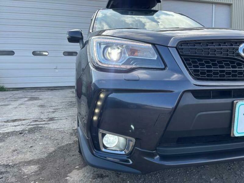 FORESTER