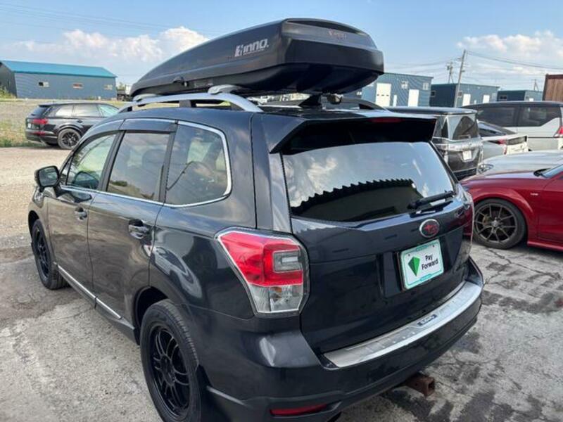 FORESTER