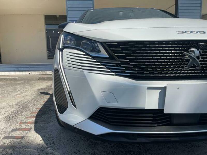 3008
