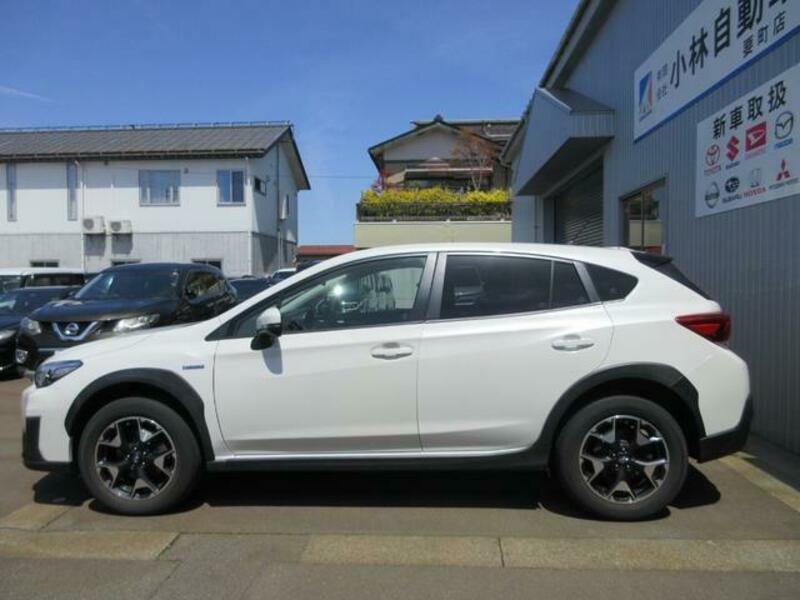 XV