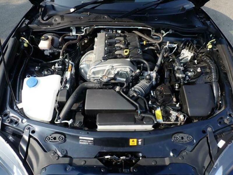 ROADSTER RF