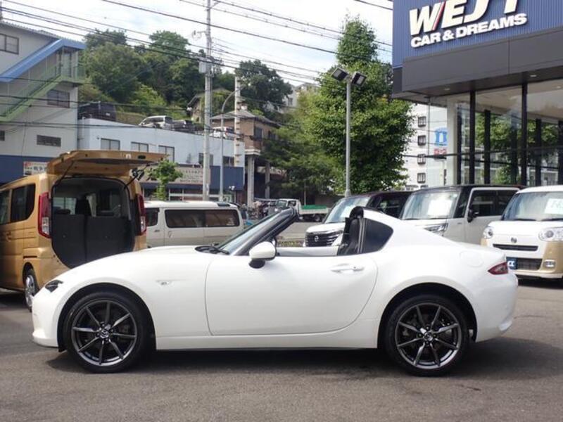 ROADSTER RF
