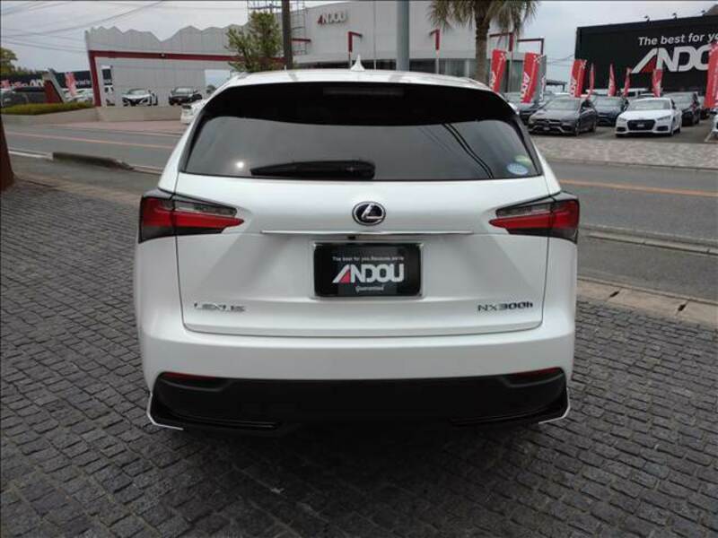 NX