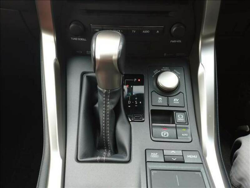 NX