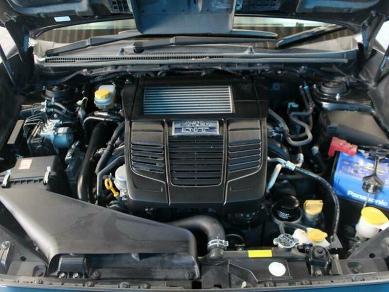 LEVORG